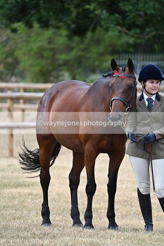 WJ7_1836 - Class 4a Prettiest Mare 14.2hh and over hand