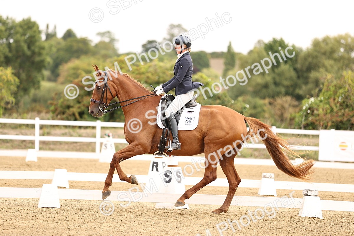 SBM_011652 - Class 1 - Medium 5