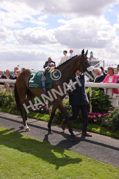 yr19082022r2-8 - Race 2 2.25pm Weatherbys Hamilton Lonsdale Cup (British Champions Series Race)