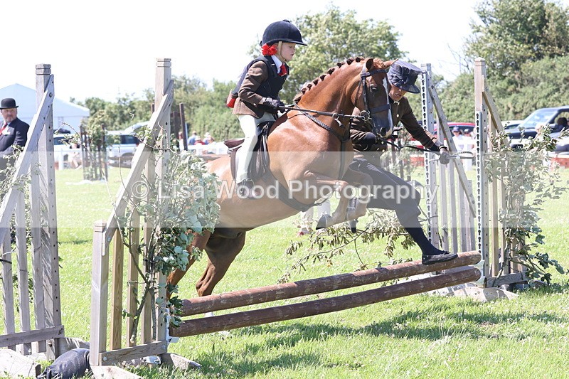 JPP_2193 - Class 20: Tiny Tots Working Hunter Pony