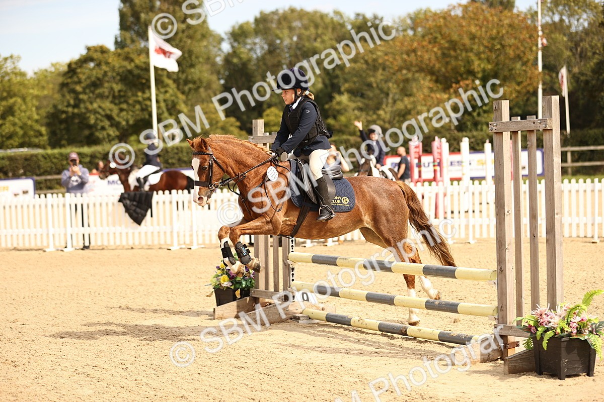 SBM_66849 - J13 - Junior Pony 60cm Championship