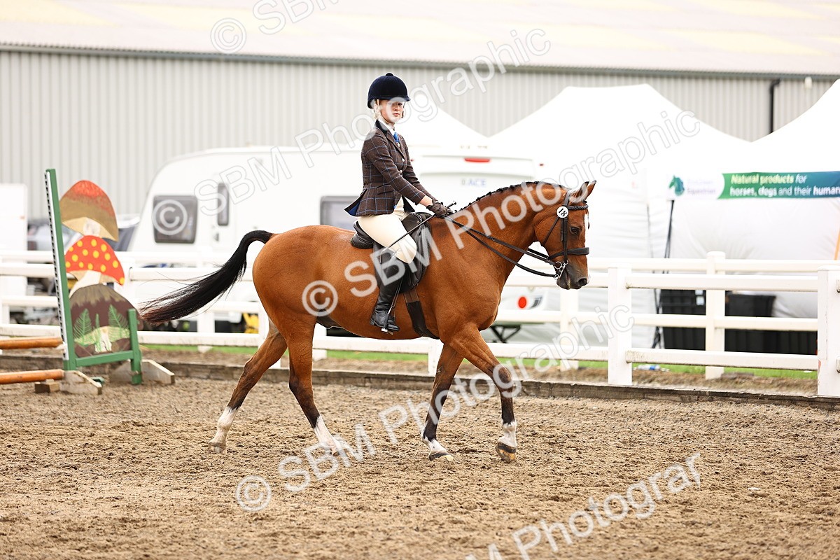 SBM_00521 - Class 53 - Ridden Competition Horse Pony