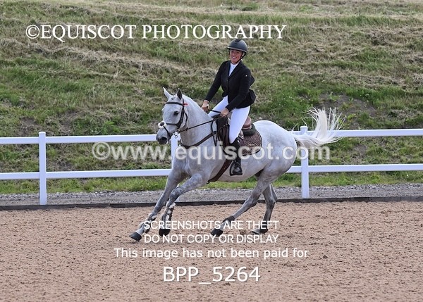 BPP_5264 - CLASS 8 THURS HOYS GFS Saddles Senior Newcomers Second Round