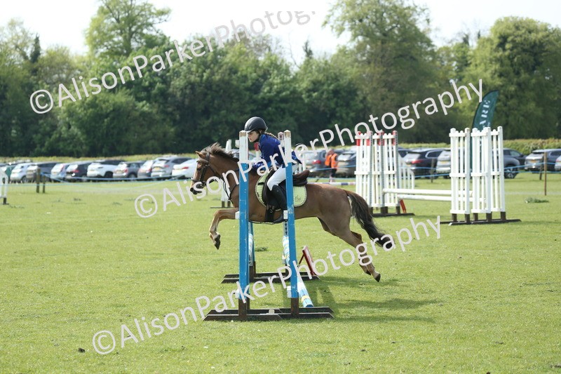 20260426-1570 - Class 14 - Novice 60cm