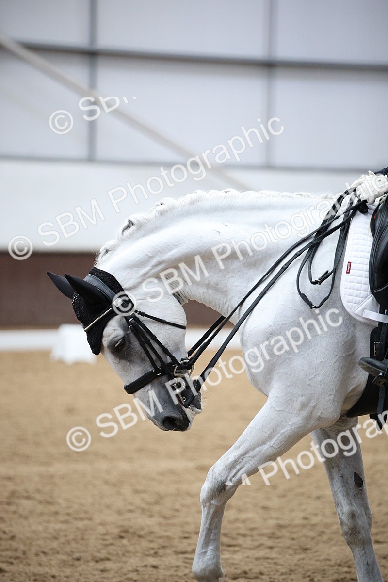 SBM_008053 - Class 12 - FEI PSG 14.46-15.50