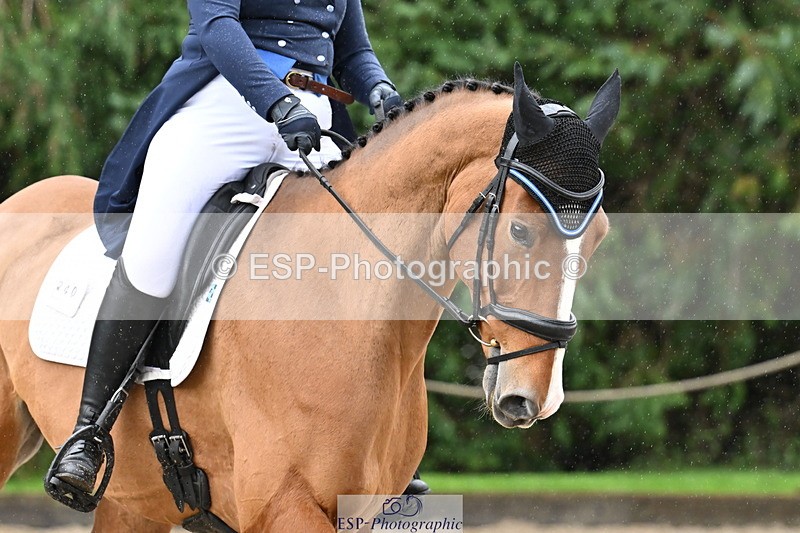 251023A-125117-02011 - C-240-Issy.Hollidge