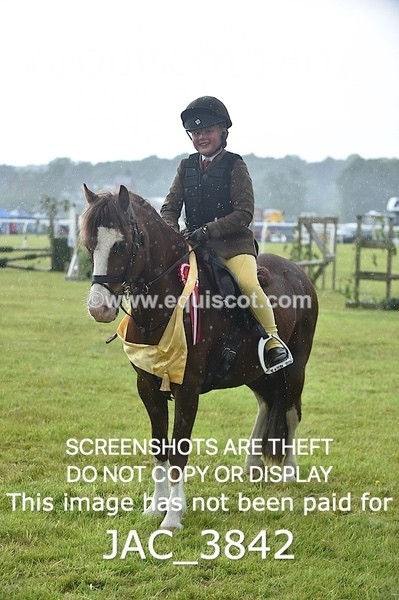 JAC_3842 - 65cm WORKING HUNTER