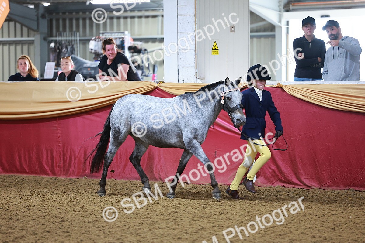 SBM_14690 - Class B - Junior Champ 11 to 16 Years