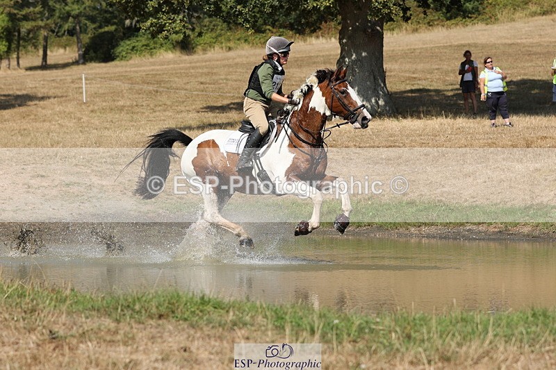 250824A-144059-38195 - 2125-Hen.Jeanes-Painted.proper