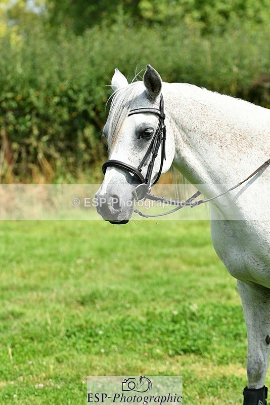 230817-140913-01169 - Theo's 1st Group - XC