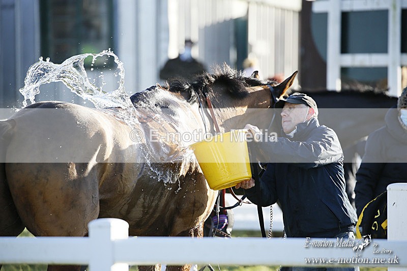 PtP 121220 380 - Avon Vale Races Larkhill 12/12/20