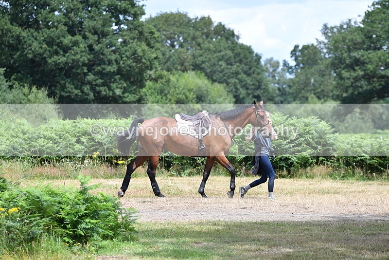 WJ5_0058 - Time 12:30 to 13:00