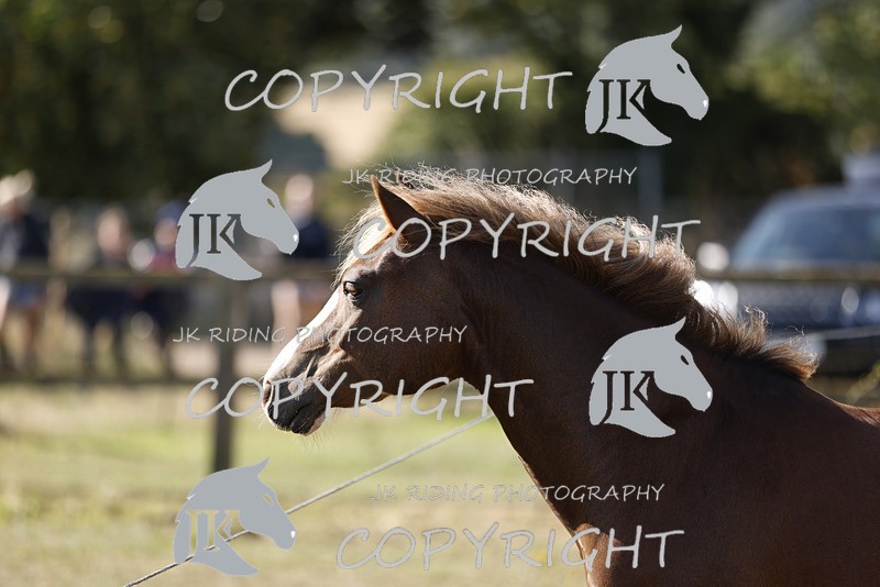 _R6A0751 - GENERAL PHOTOS