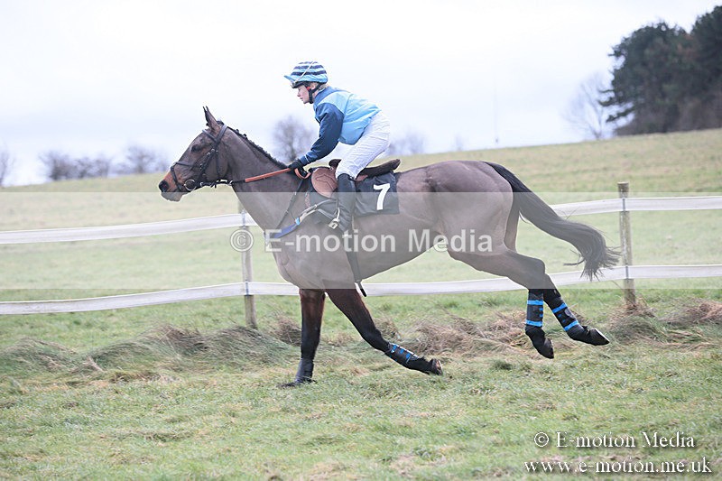 PtP 230119 204 - Royal Artillery Point-to-Point  - Larkhill  - 26/01/19