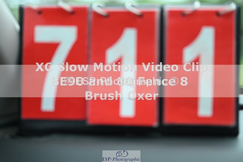 250419-143109-11772 - 711-Osbert.Stone-BALLYARD.BROUGH.LADY