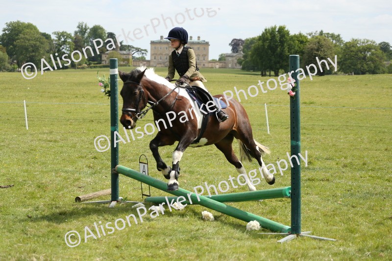 20250517-2953 - Class 25 - Horse & Hound