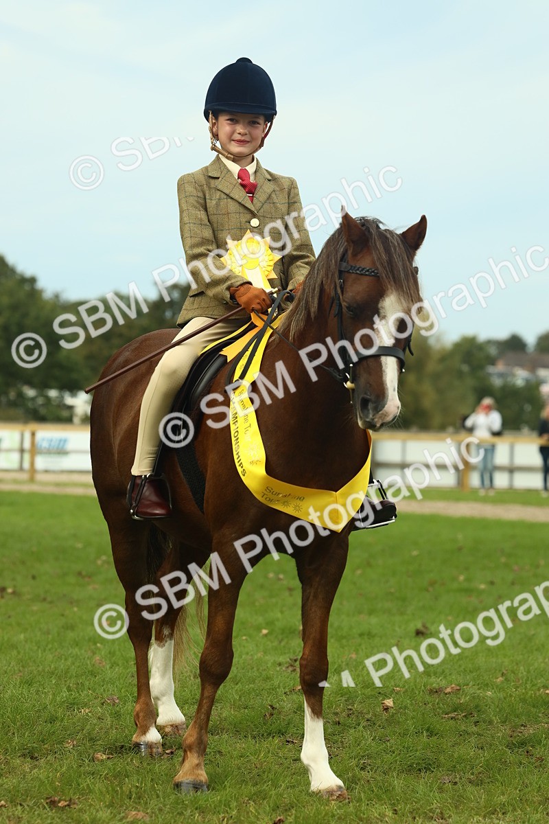 SBM_70008 - S59 - Mountain & Moorland Ridden Small Breeds