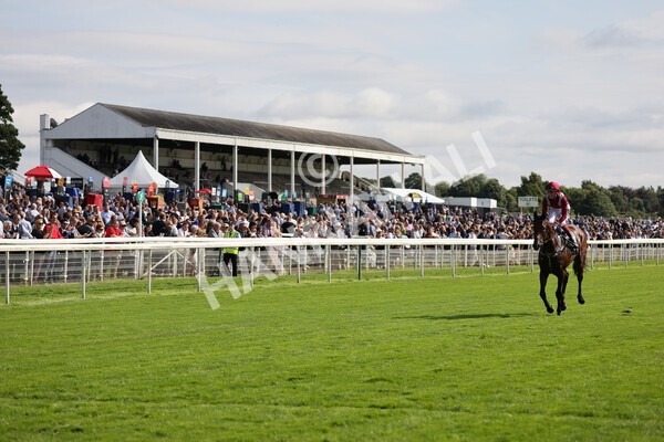 yr18082021r4-109 - Race 4 3.35pm Juddmonte International Stakes (British Champion Series race)