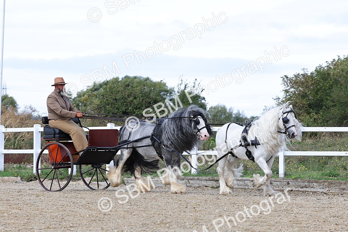 SBM_001160 - Class 16 - Pairs ,Multiples and Tandems