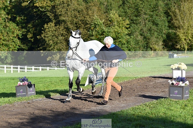 231022-100316-22208 - 624-CORRIEVIEW.OSCAR-Jane.Rogers-TrotUp+SJ