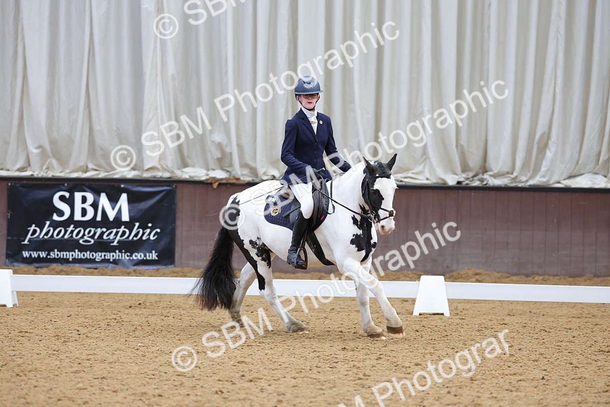 SBM_003085 - Novice