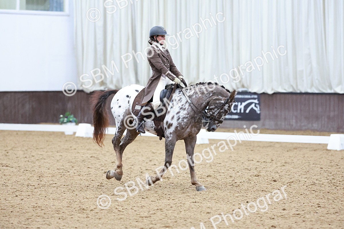SBM_021380 - Class 14 - FEI Grand Prix - 17.40-18.34