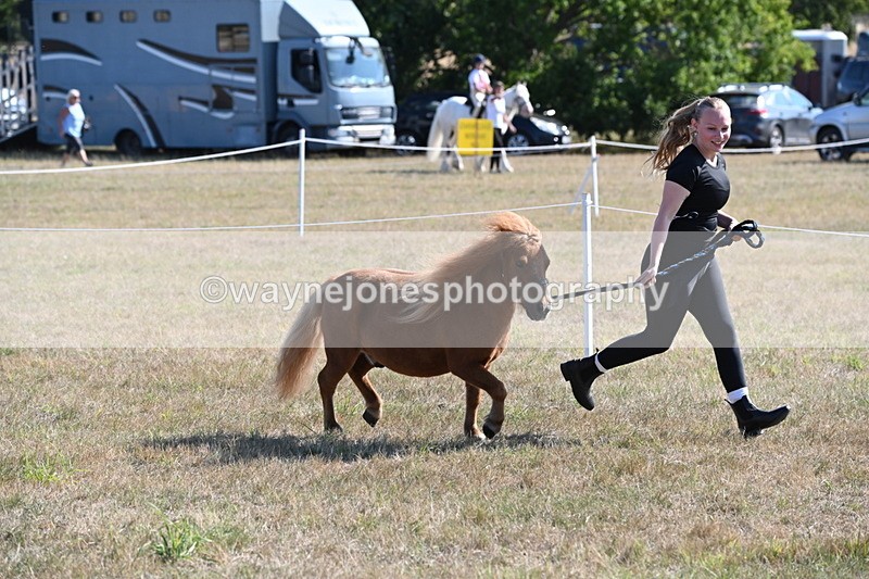 WJ6_7268 - Class 33 Rescue Pony