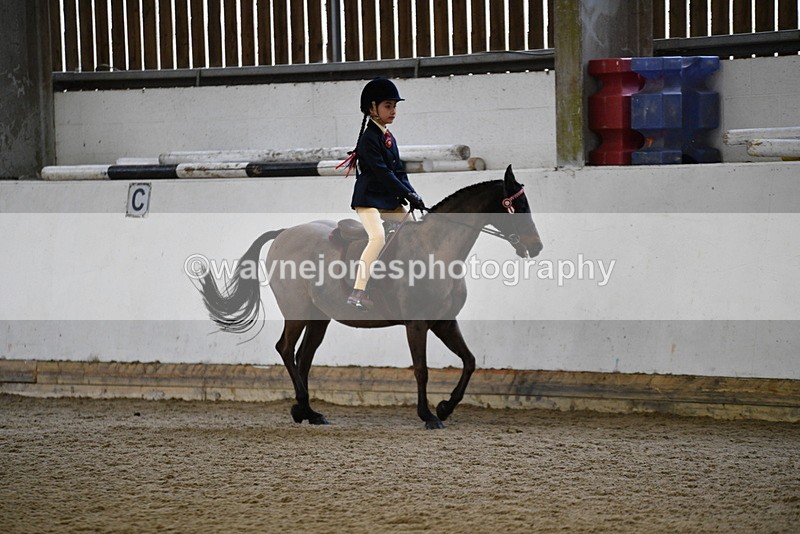 WJ5_6527 - Class 10 Childs Pony