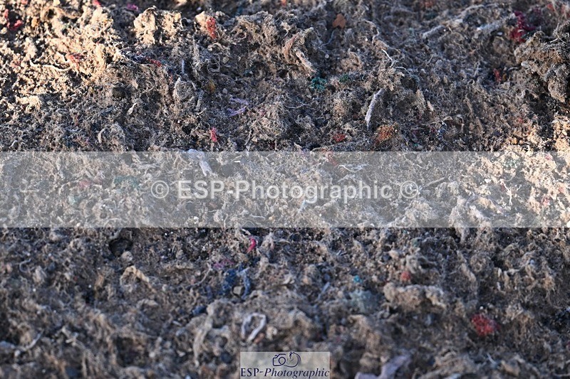 251203-125345-00579 - Cls 4 Newcomers and 1.10m Open