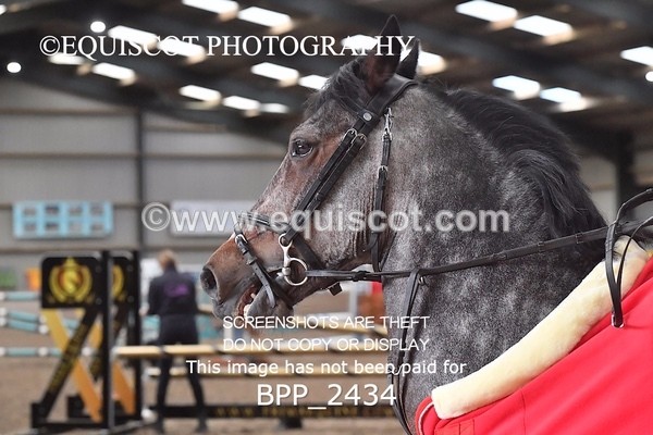 BPP_2434 - CLASS 15 148cm Pony Royal Highland Show