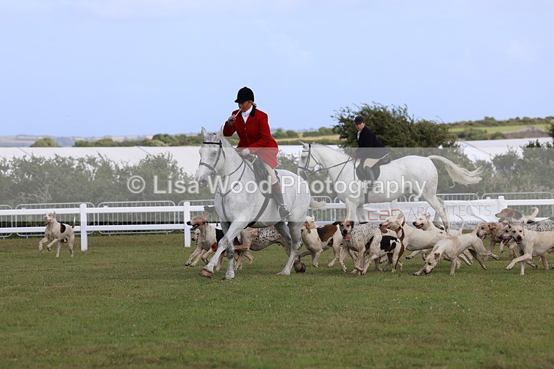 3E7A3441 - Parade of Hounds
