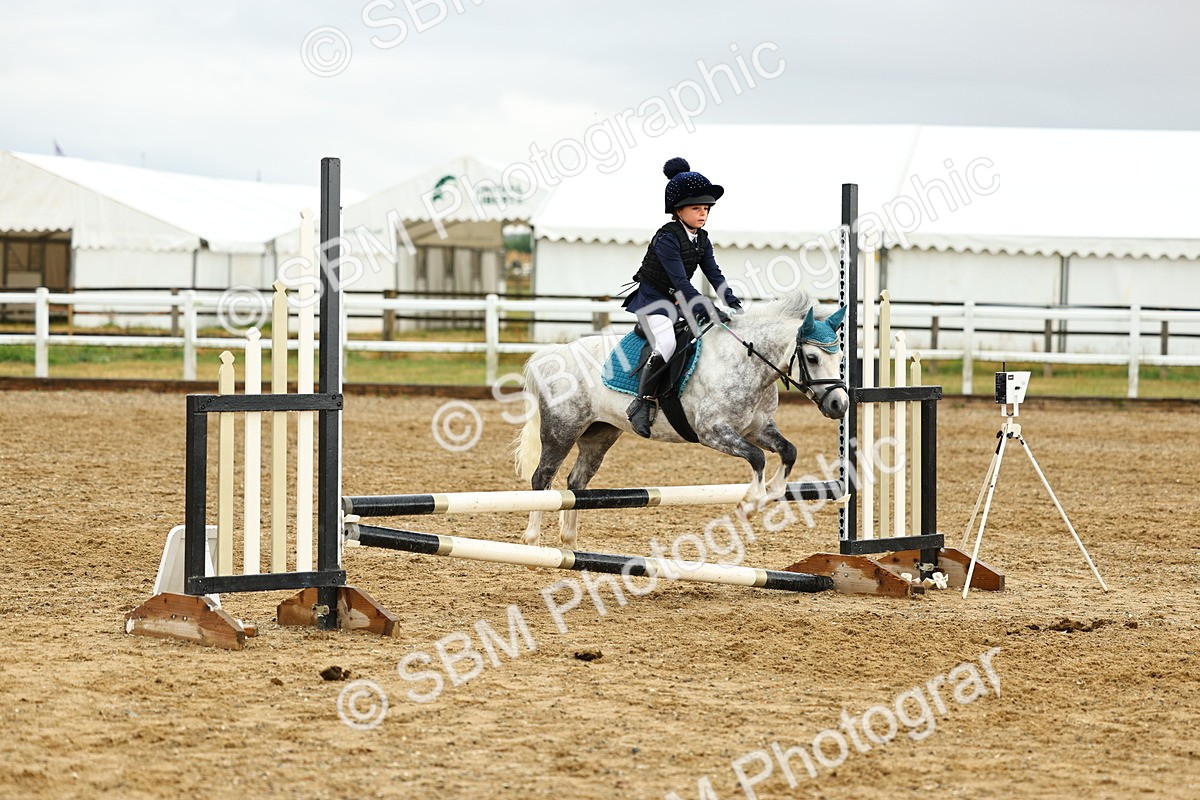 SBM_000799 - Class 3 - 60cm