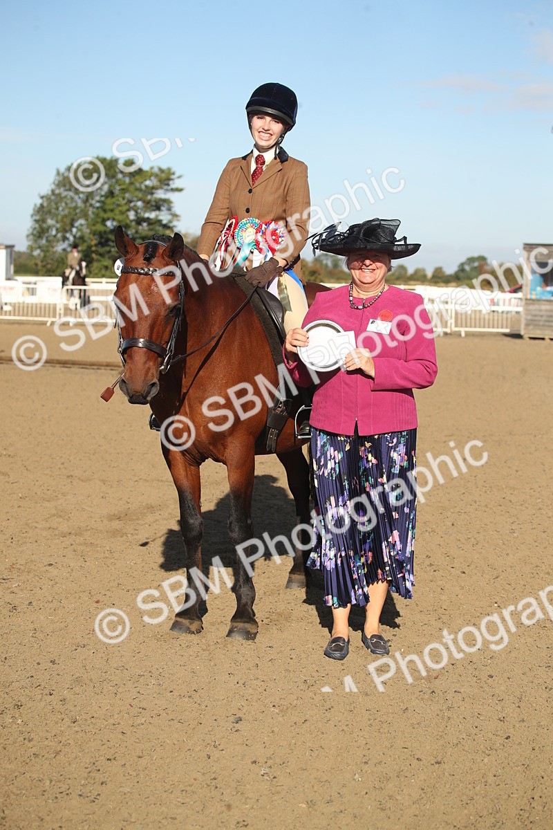 SBM_11578 - Class 502 - Riding Club Horse