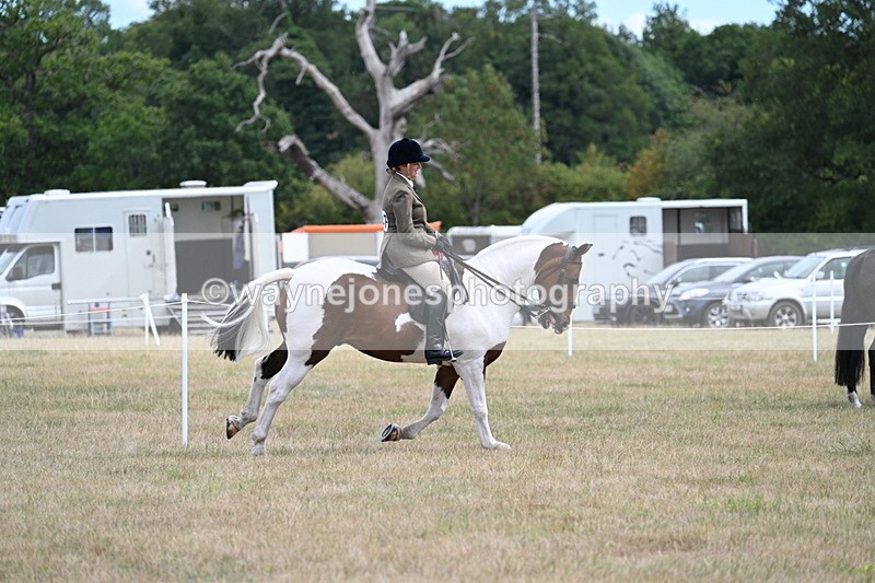 WJ7_5609 - Class 12 Ridden Cob