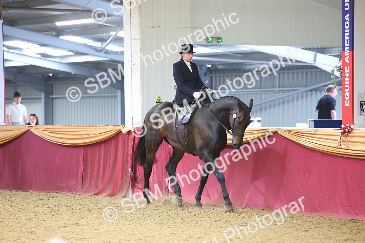 SBM_24478 - Class 906 - Supreme Final - Ridden Pre Vet