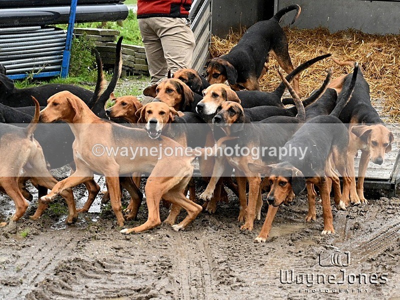 WJ7_8210 - Berks & Bucks Blackcroft Farm 20-10-24