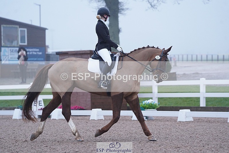 250215-094404-02691 - 142-Daisy.Hedges-Felicia.v