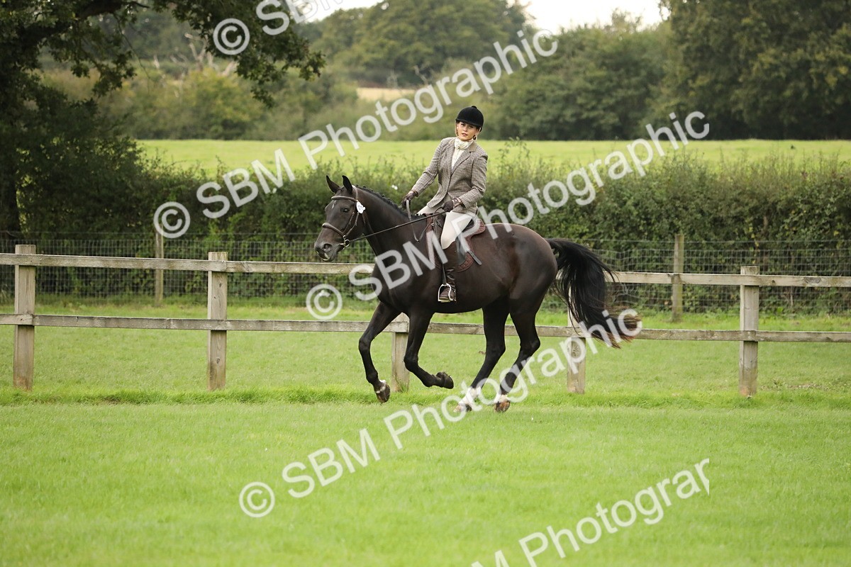 SBM_73806 - S41 - Ridden Equitation (Best Rider)