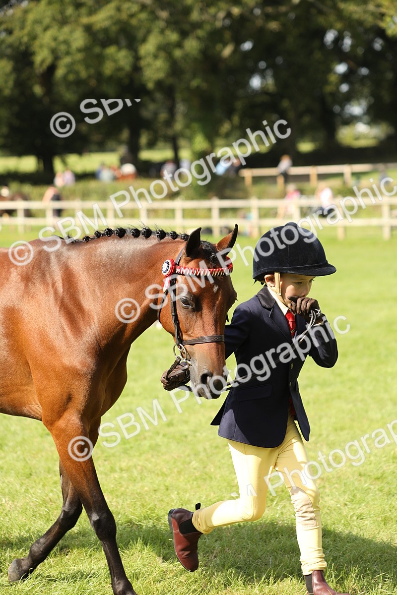 SBM_67824 - S39 - Junior Handler 8  Years & Under