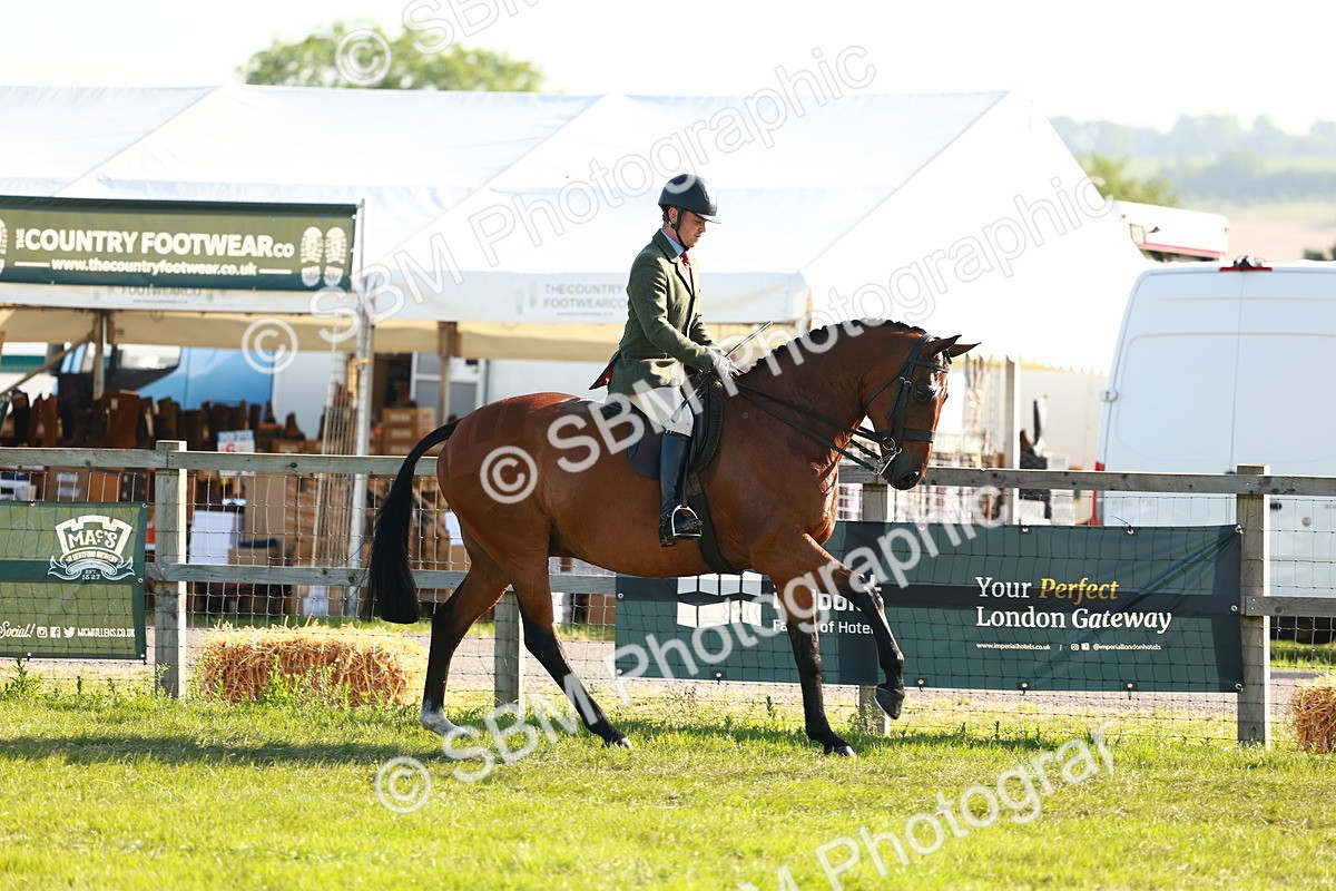 SBM_10748 - Class 66-69 - RIHS Ridden Hunters Inc Small Hunter