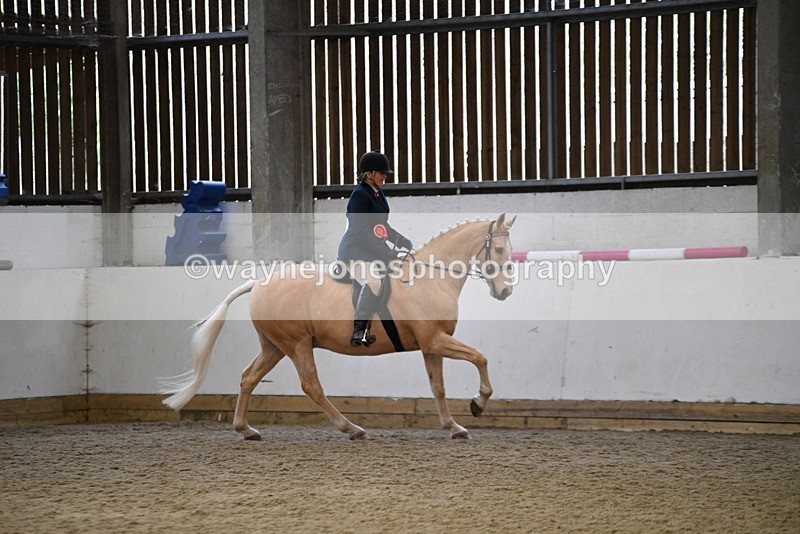 WJ5_6454 - Class 9 Ridden Veteran