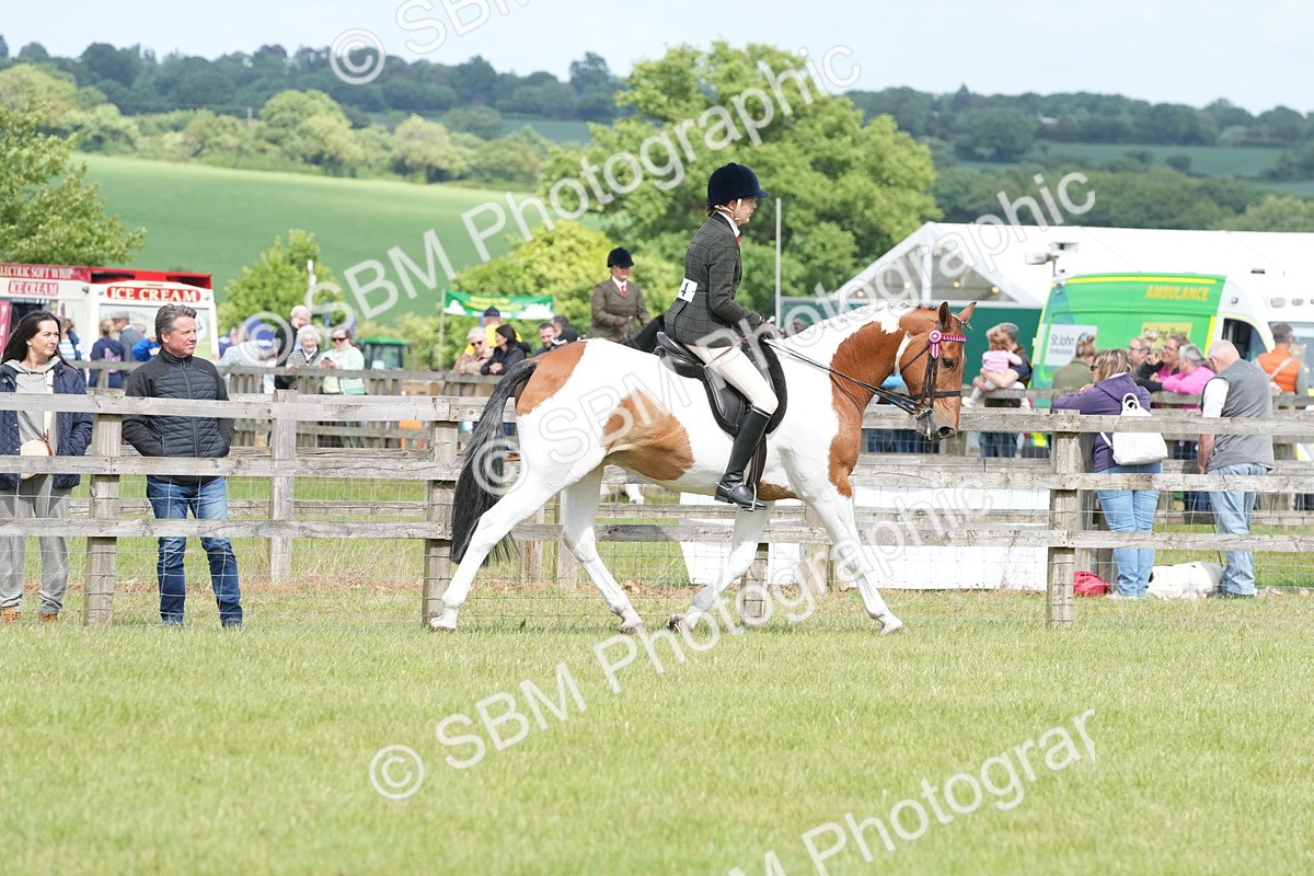 SBM_17604 - Class 107-108 - LIHS BSPS Performance Coloured Horse Pony