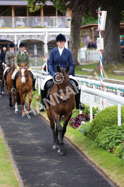 yr22052022r8e-66 - ROR - Parade Ring York