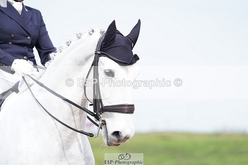 250403-144832-03000 - 026-Anna.Wilson-Mercurio