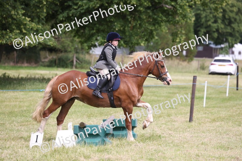 20260614-4064 - Class 24 - Mini and Major Pairs Jumping