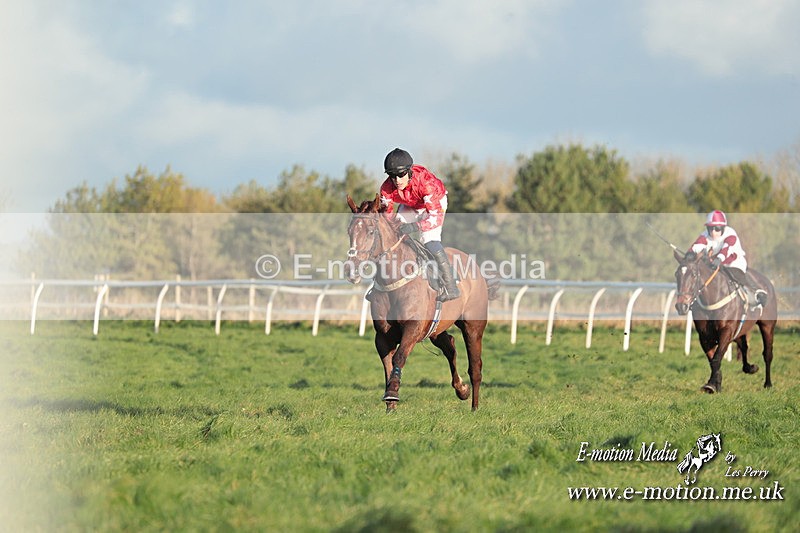 PtP 101223 1113 - New Forest Hounds PtP Larkhill 10/12/23
