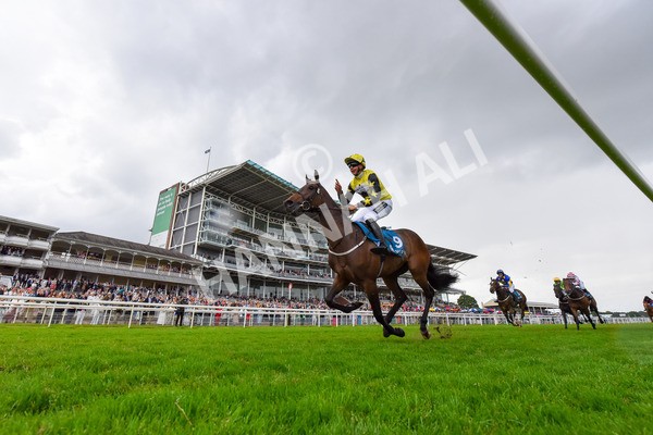 150624-D-Macmillan Ride Of Their Lives-8396 - 12.30pm Macmillan Ride of Their Lives