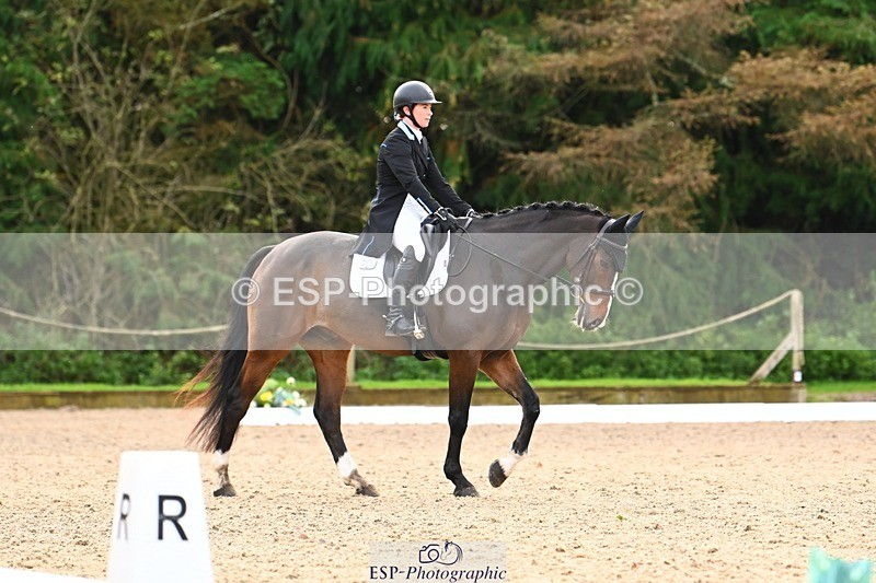 231021-134501-17705 - 350-DAZZLING.SPRINGTIME-Alice.Kneen-DR