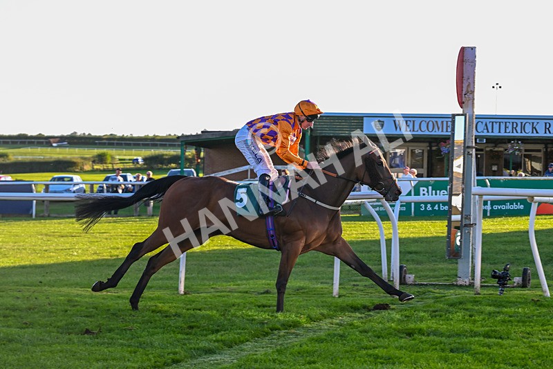 300926-Race 7-Prince Of Calypso-7082 - Race 7 5.25pm Amstel Gallop Handicap