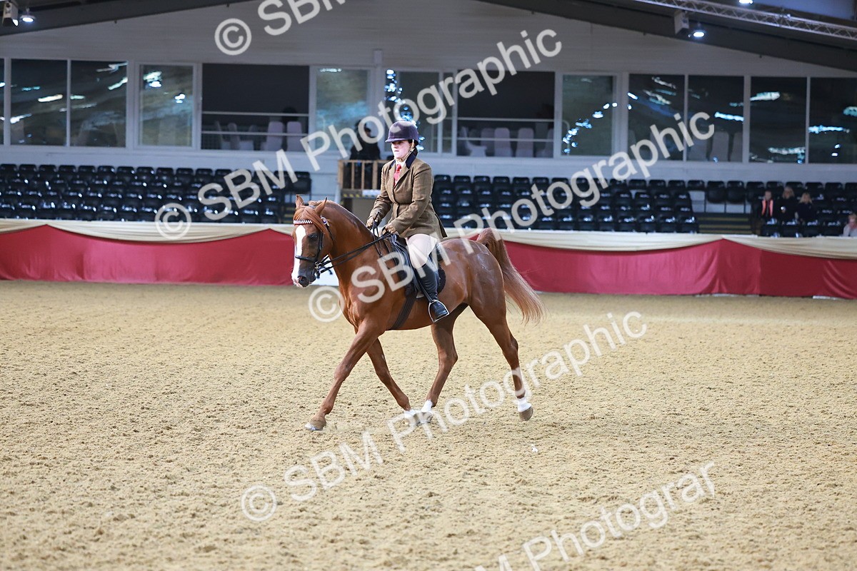 SBM_07693 - Class 101 - HOYS Veteran Qualifier - Ridden Diamond